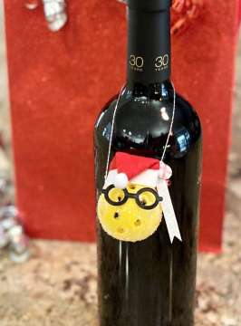 Christmas-Pickleball-Ornament-Gift